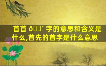 首首 🌴 字的意思和含义是什么,首先的首字是什么意思